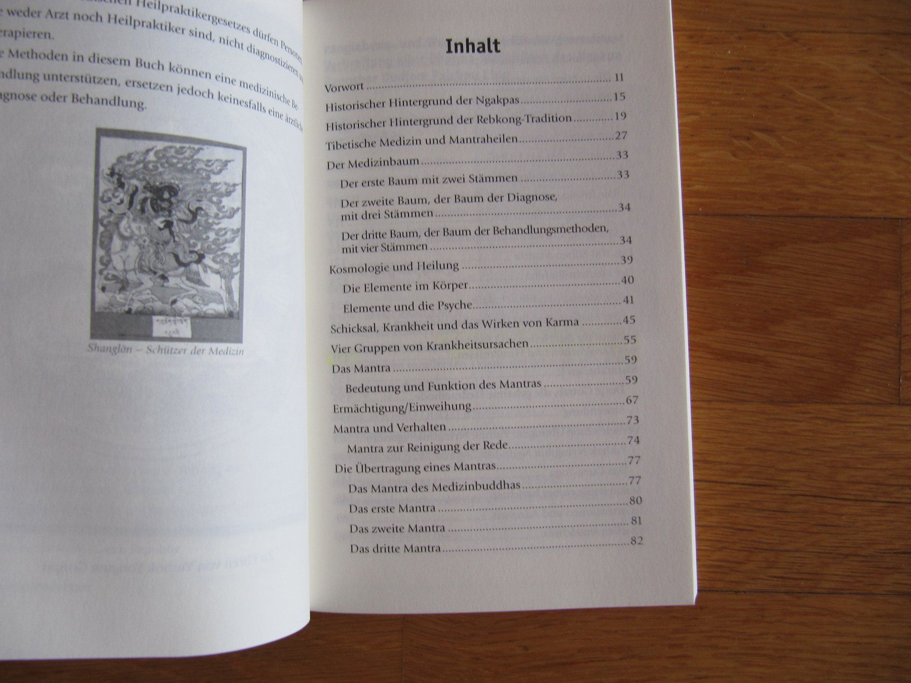 Libri: Heilen mit Mantras / Bran O. Hodapp – Nuovo (secondo la descrizione) da Würenlos venduto da Carabella0 1