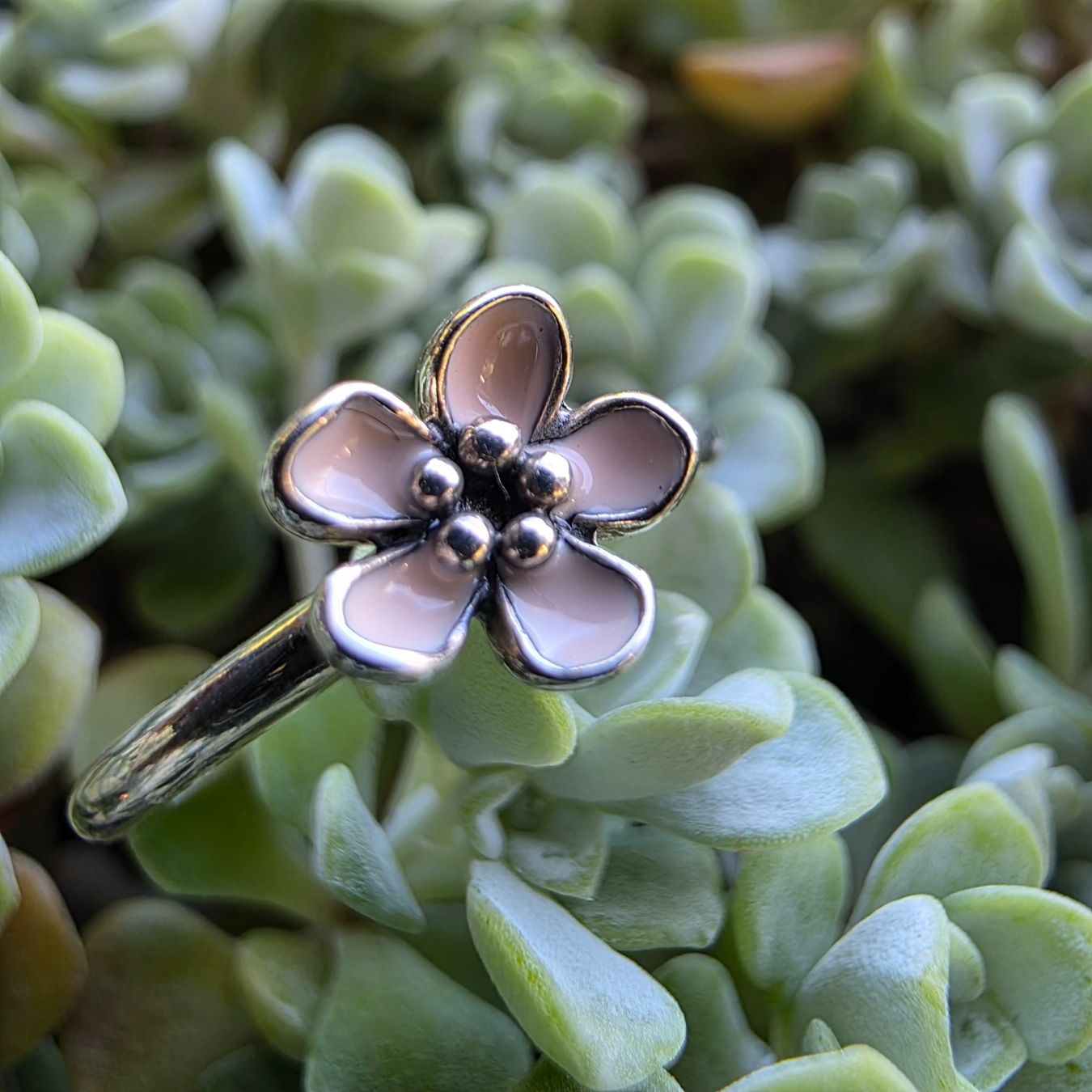 Pandora Anelli: 🐸 PANDORA 925 SILBER RING 54 – Nuovo (secondo la descrizione) da Môtier (Vully) venduto da Frogs 1