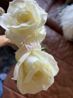 Rosen