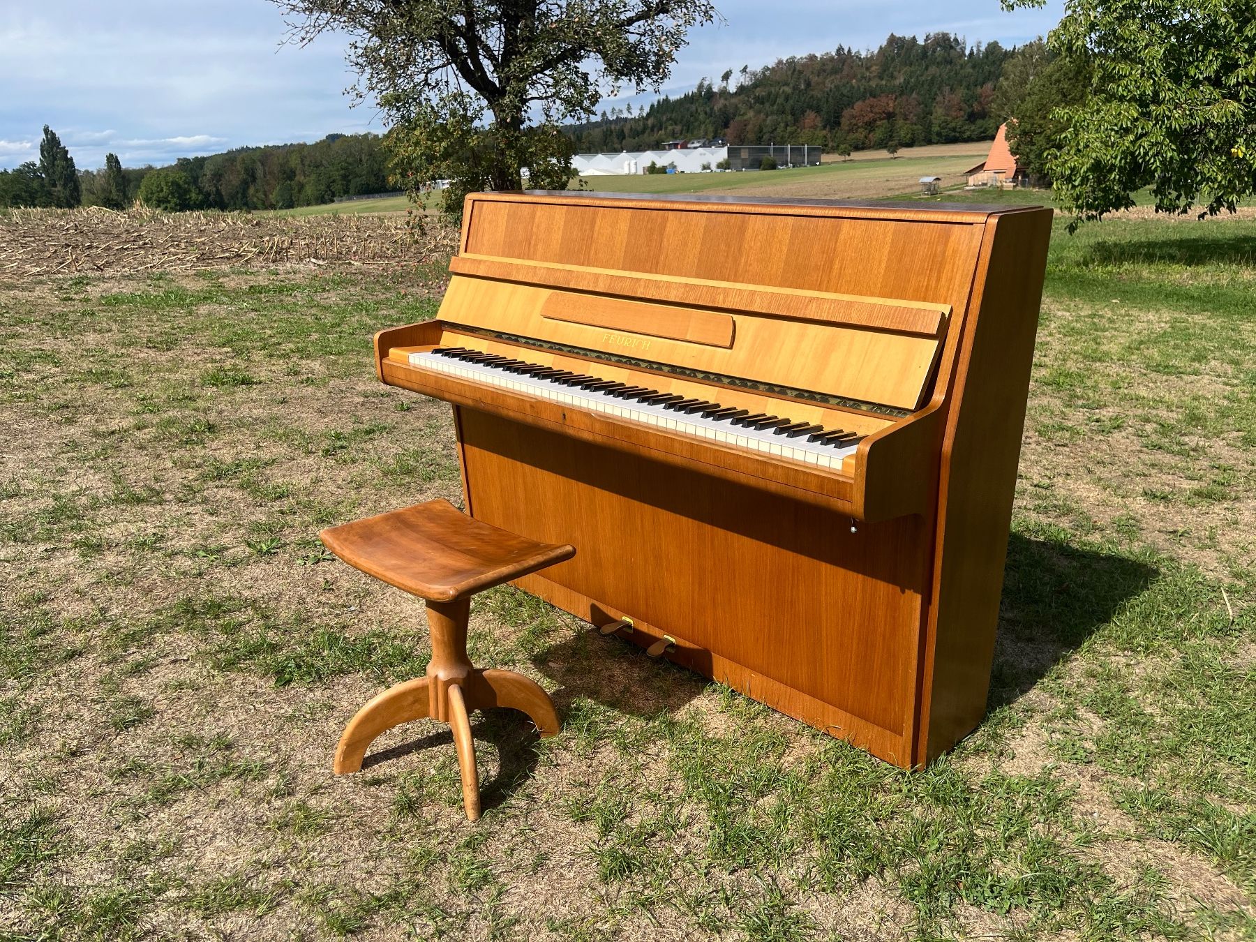 Feurich Musikinstrumente: Klavier Feurich Kreuzsaitig – Gebraucht aus Allmendingen b. BE von juair 6