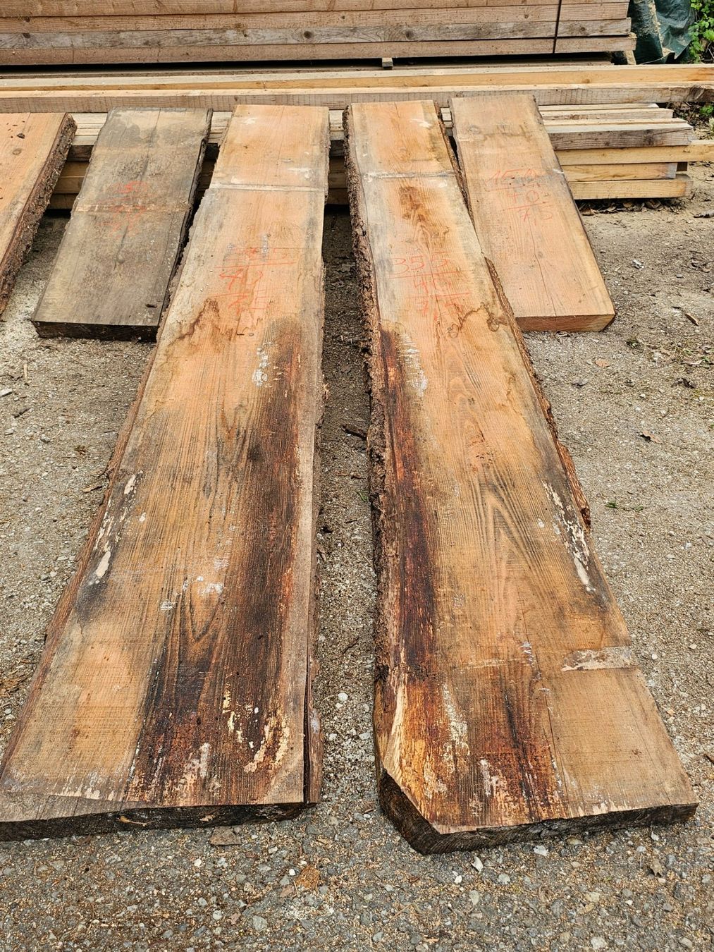 Articoli in legno: Douglasienholz – Nuovo (secondo la descrizione) da Aarburg venduto da Joerg.Andre 4