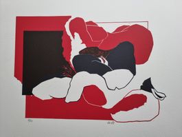 DANIEL WIDMER ORIGINAL GRAFIK HOLZSTICH? SIGNIERT NUMMERIERT