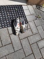 Damen Fussball Schuhe