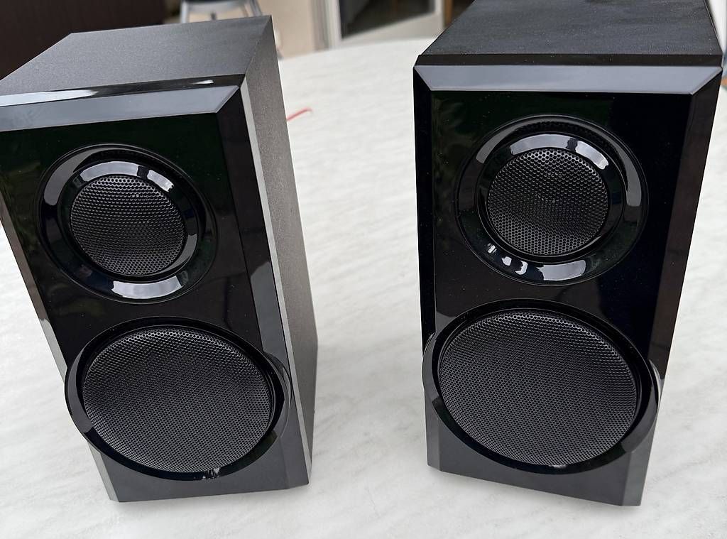Casse acustiche: Sharp Lautsprecherboxen – Usato da Richterswil venduto da bru_767z