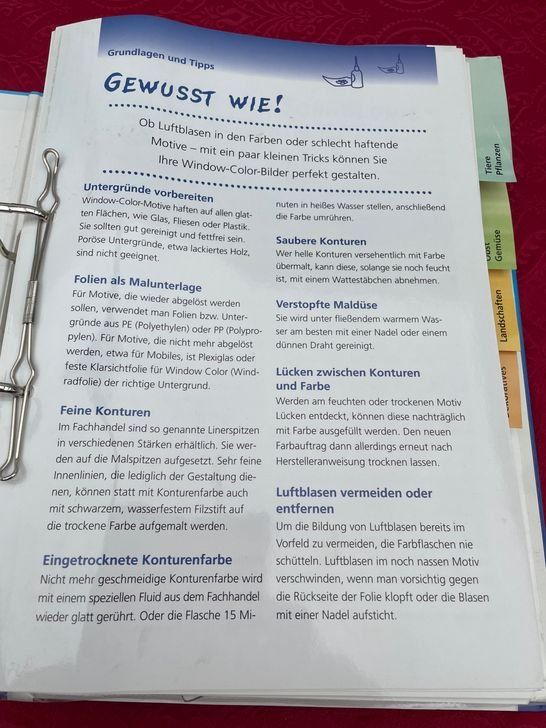 Libri: Window Color Ordner mit Vorlagen 1001 Ideen – Usato da Bergdietikon venduto da antovale 4