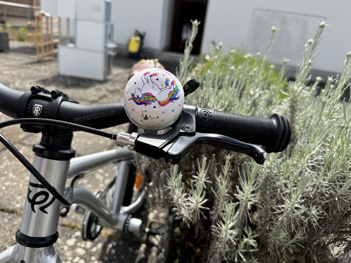 Early Rider Biciclette: Early Rider Belter 16 – Usato da Schlieren venduto da BIBOSA 5