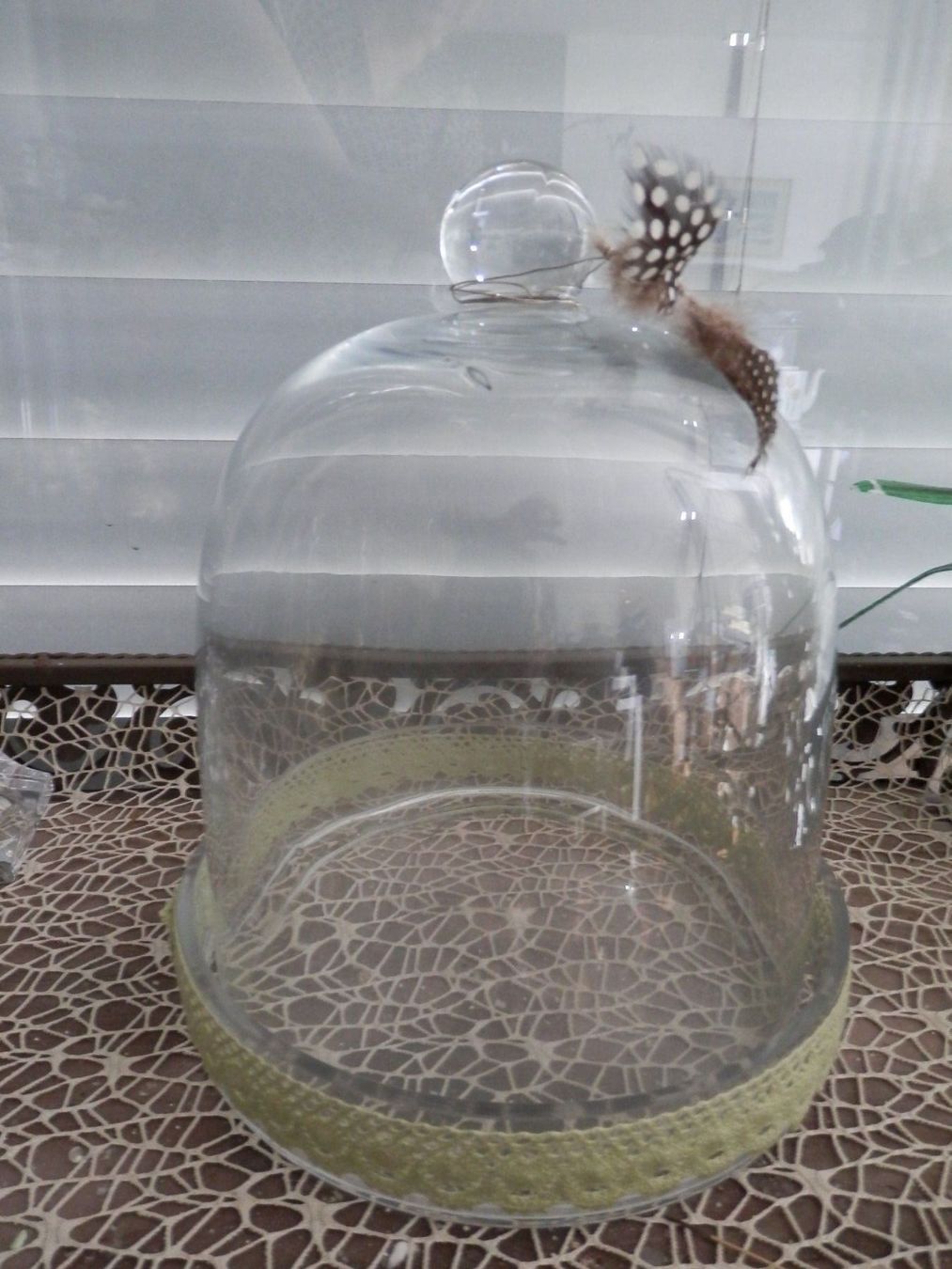 Bicchieri: Glasglocke – Usato da Widen venduto da nigella90