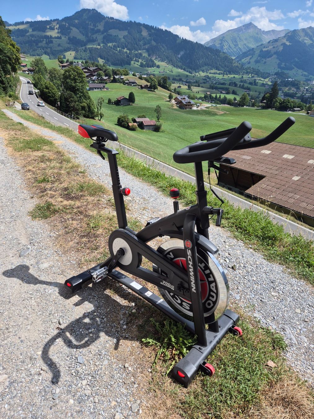 Schwinn Hometrainer: Schwinn 700IC – Usato da Saanen venduto da mrb870708