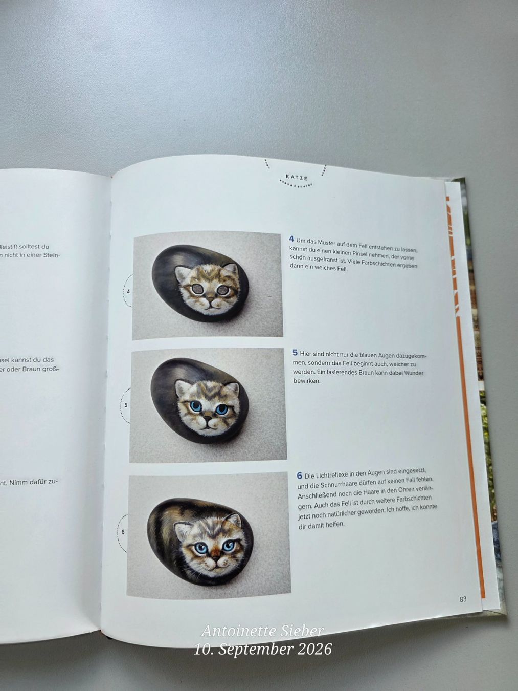 Libri: Steine Bemalen – Nuovo (secondo la descrizione) da Salez venduto da Bellas-Huesli10 3