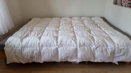 Grosse Daunendecke 260x240 cm Kingsize NEU