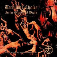 Terminal choice - In the...