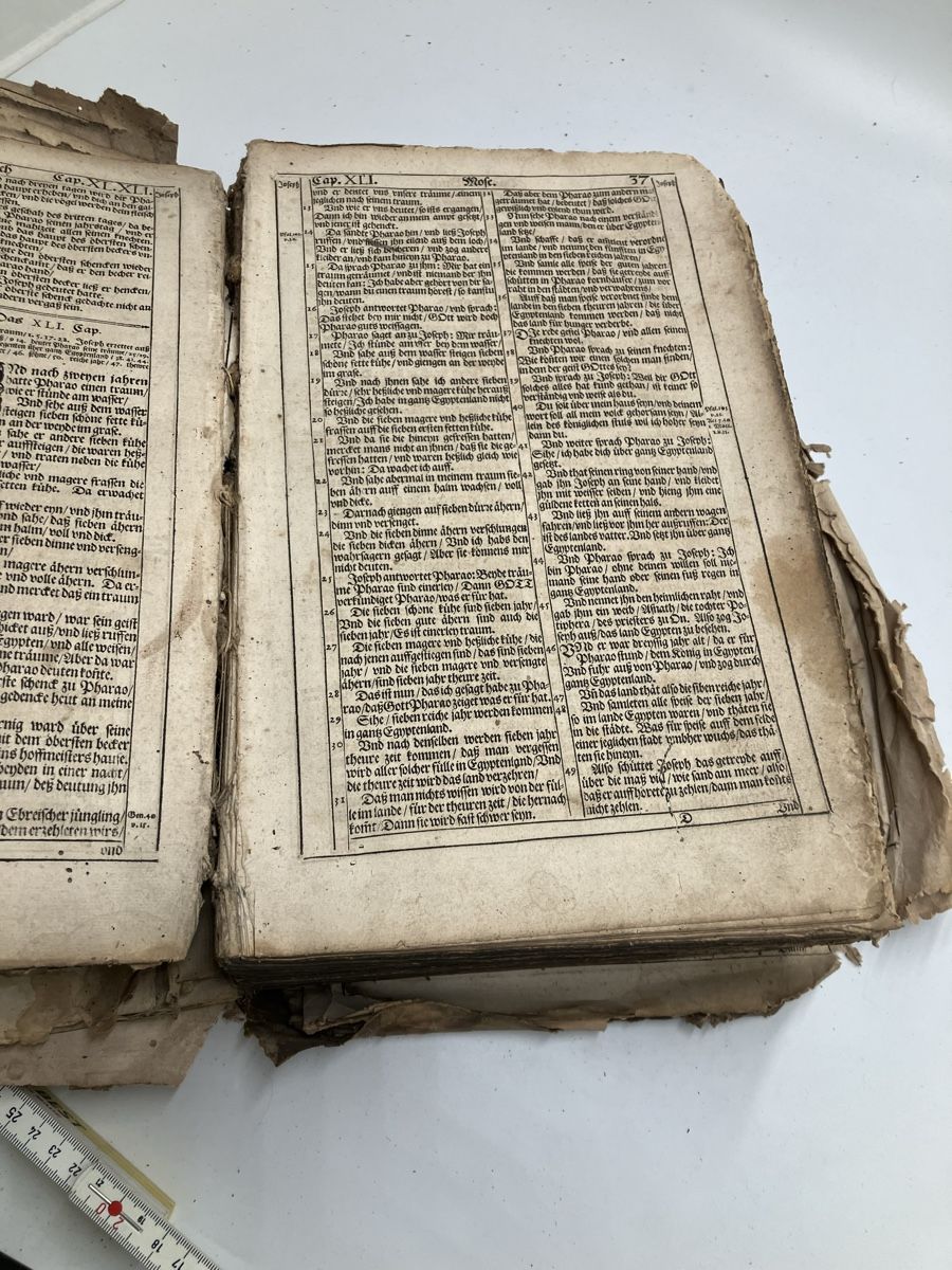 Libri: Antike Bibel – Usato da fribourg venduto da Retroverso 2