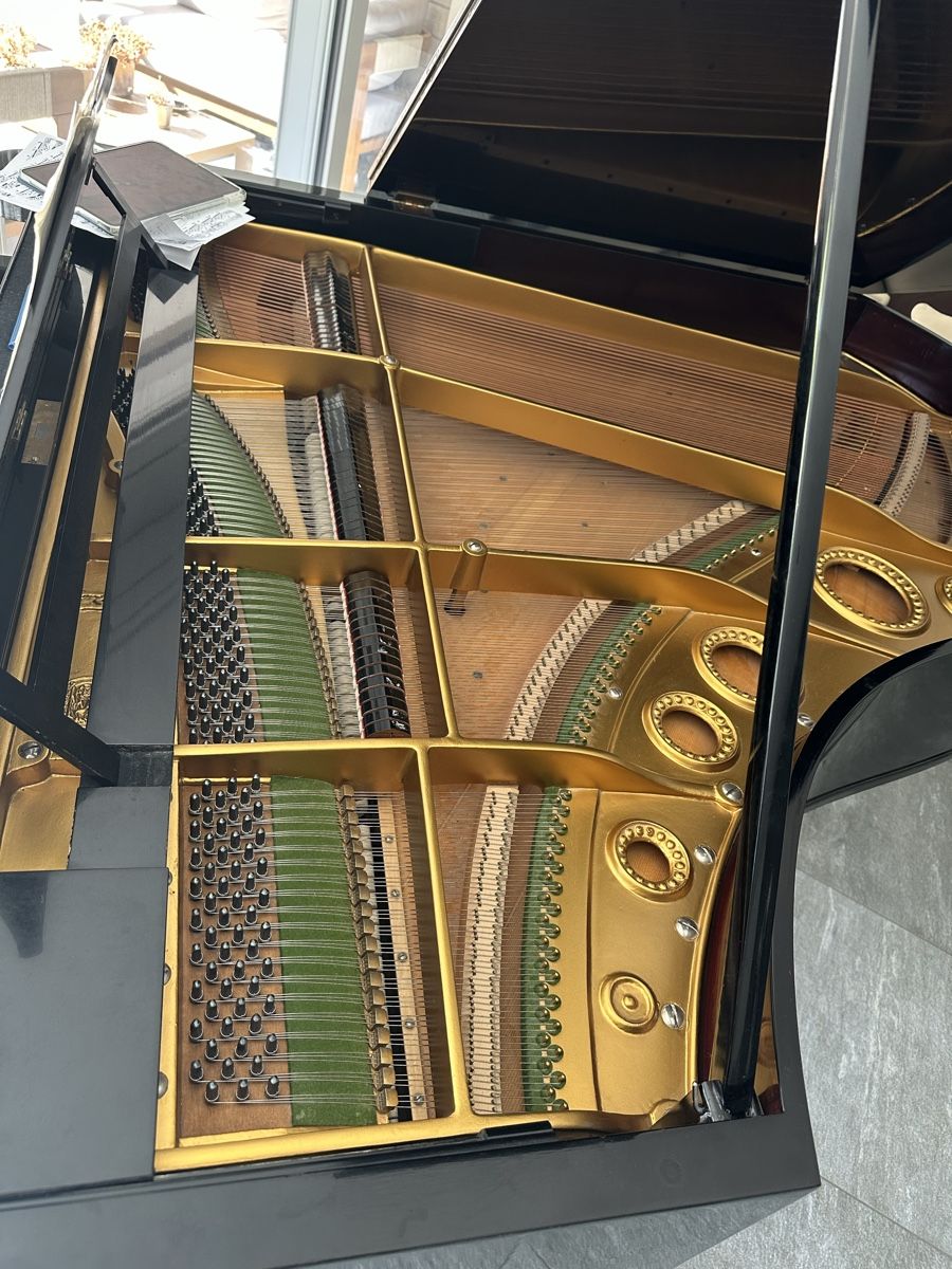 Strumenti musicali: C Bechstein Flügel 1,60m  – Usato da Kandergrund venduto da eva_92rg 3