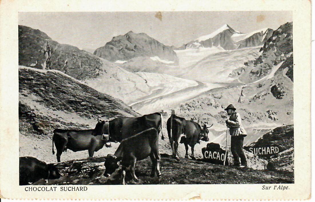 Cartoline postali: AK Chocolat Suchard – Usato da Hochdorf venduto da Ziegel-16