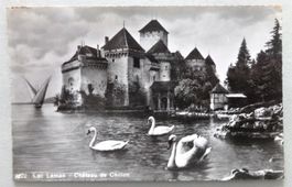 Lac Léman - Château de Chillon