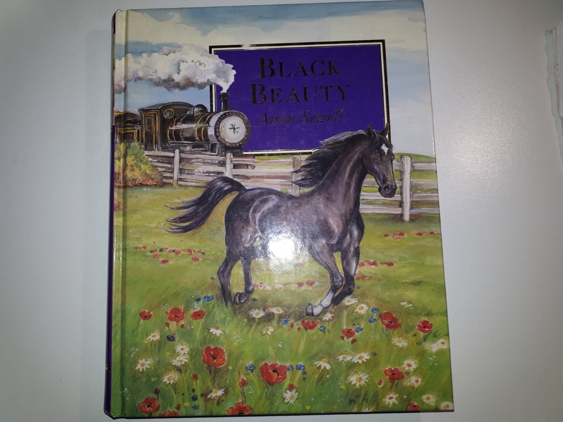 Libri: Kinderbuchklassiker: Black Beauty (deutsch) – Usato da Dietikon venduto da Buchantiqdietikon
