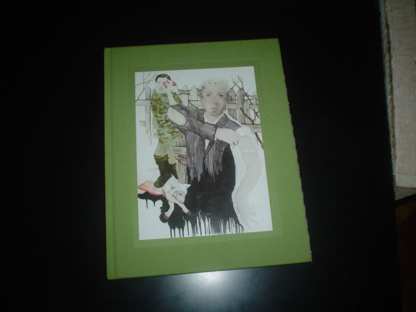 Livres: Anthony Goicolea Interessante Kunst – D'occasion à Welschenrohr par Regool