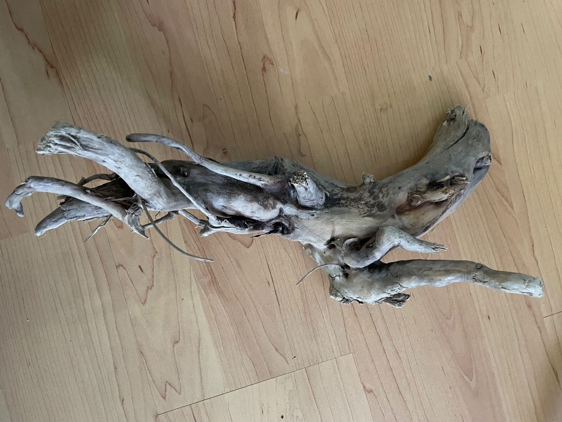 Tutte le decorazioni: Branches de tout types pour terrarium – Usato da Monthey venduto da rma_m72q 2