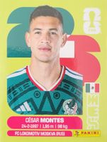 Panini FIFA World Cup MEX 5