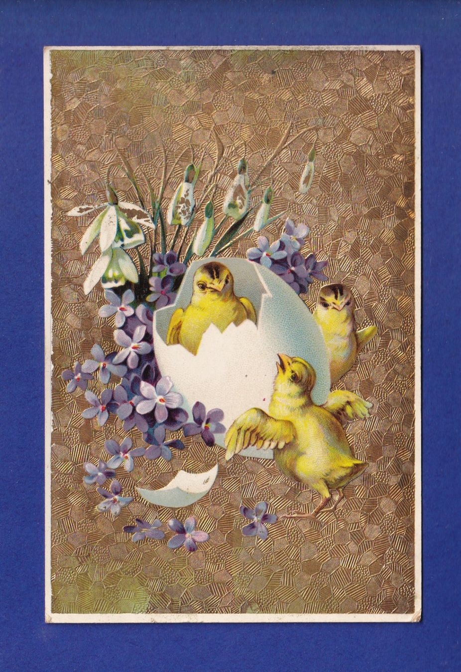 Ansichtskarten: OISEAU - Poussins – Gebraucht aus Pully von nicecards-shop