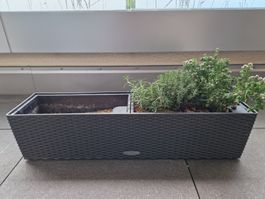 Lechuza | Balconera Cottage (graphit)