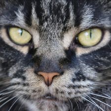 Profile image of fabi5558
