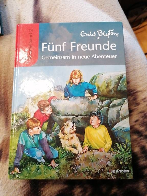 Libri: Fünf Freunde, Sammelband 2 – Usato da Alberswil venduto da Myumai