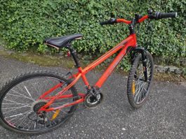 Team/ Mountainbike 24 Zoll Velo neon orange