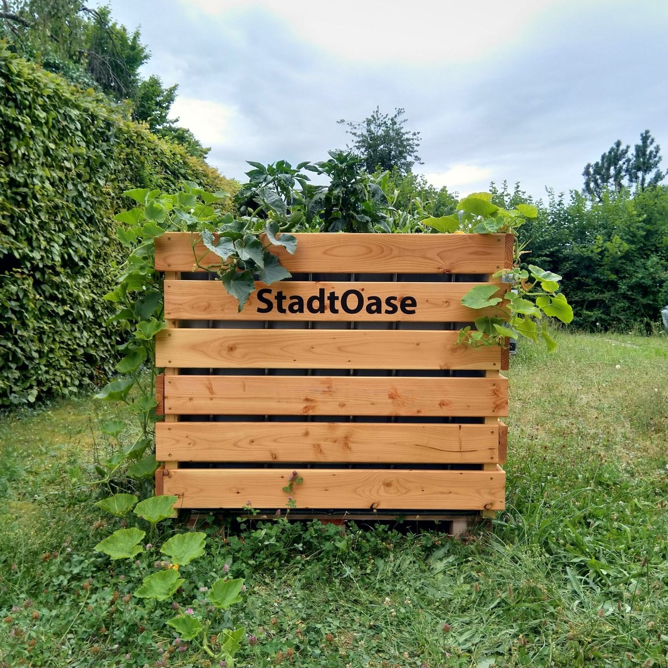 Vasi per fiori: StadtOase - Hochbeet mit Bewässerungsautomatik – Nuovo e nell'imballaggio originale da Neunkirch venduto da StadtOaseGmbH 1