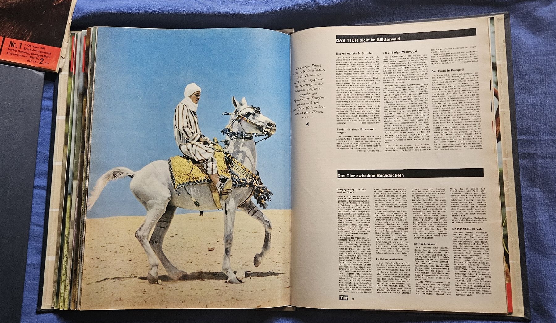 Riviste & Magazine: Zeitschriftensammlung "Das Tier" , 5 Hefte +  5 Ordner – Usato da Kaltacker venduto da Cougar01 5
