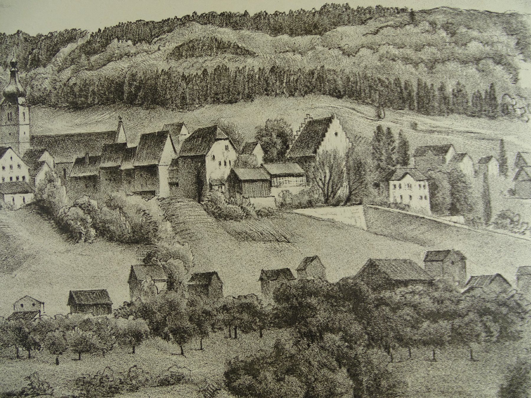 Grafica & Litografie: BISCHOFSZELL, LITHO VON E.E. SCHLATTER – Usato da Grüningen venduto da Kartensammler 4