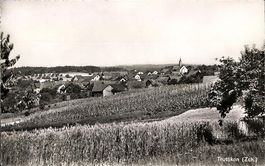 Truttikon ZH Teilansicht Nr.11601 ,  1960