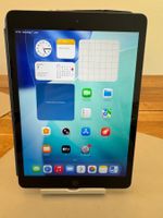 iPad 8 Generation  98% Akku Kapazität