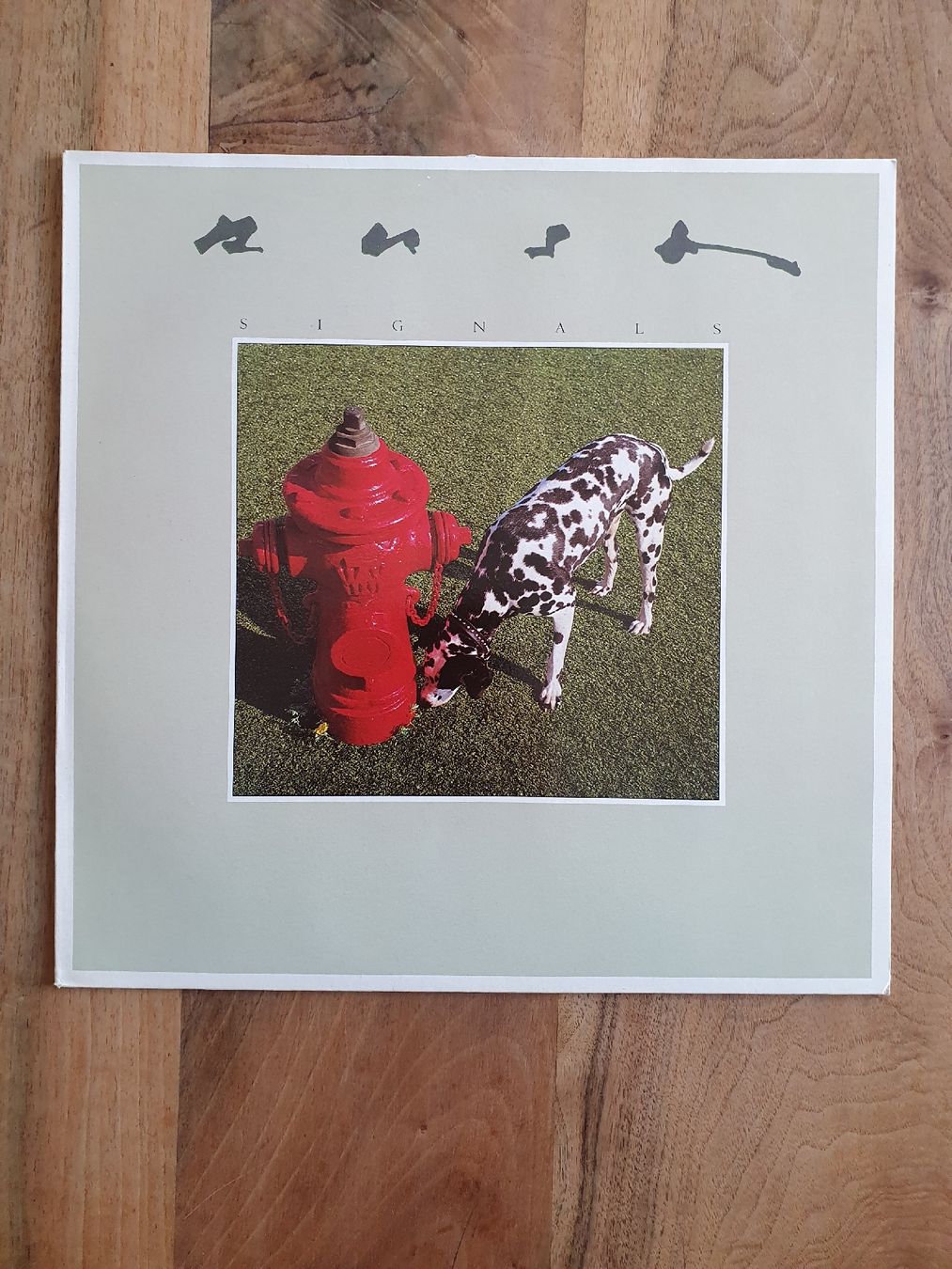 Dischi in vinile: Rush - Signals – Usato da Sirnach venduto da dimitri1963