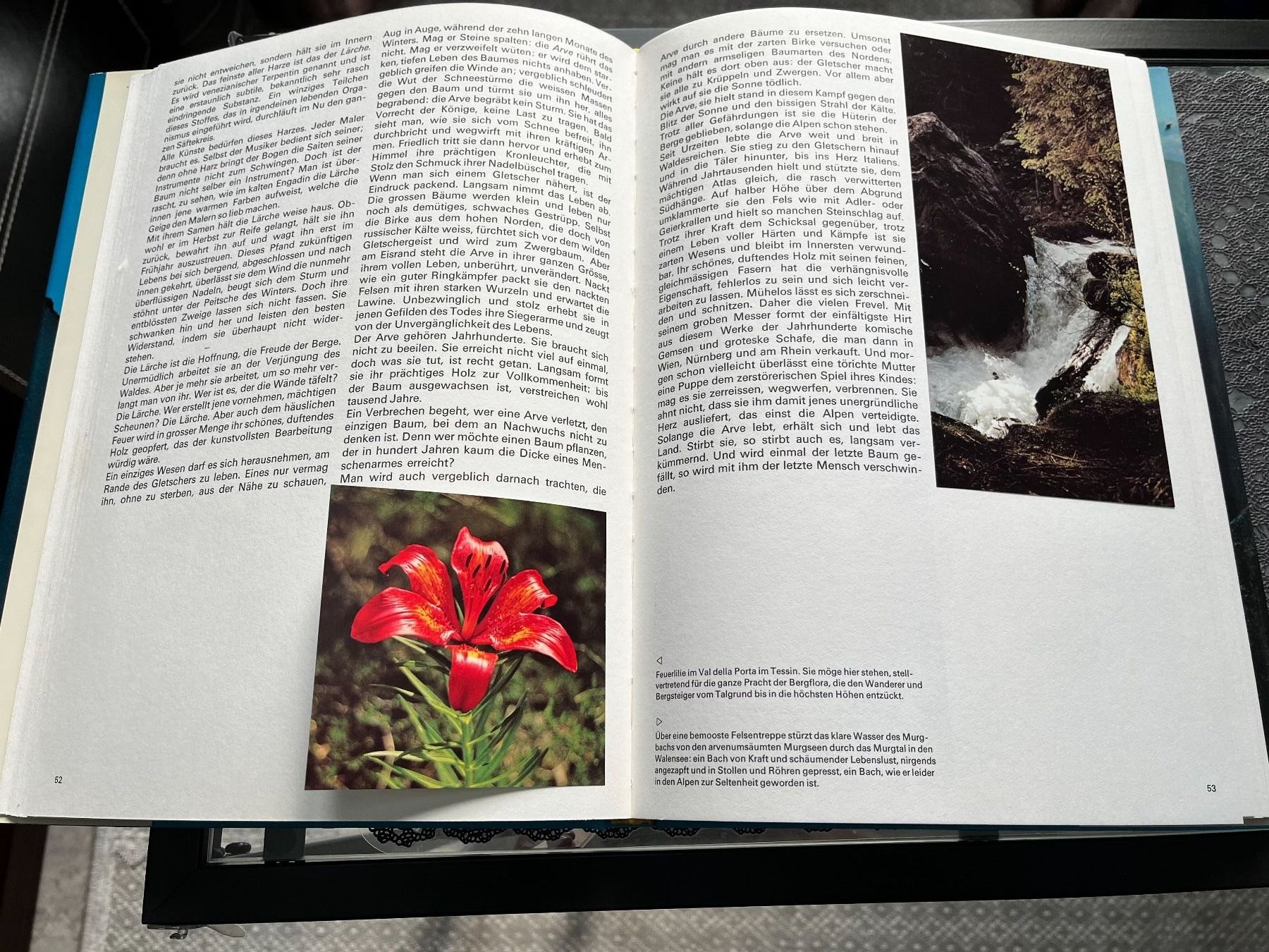 Libri: Maeder Herbert: Lockende Berge – Usato da Lausanne venduto da Kinga_Shopaholic 5