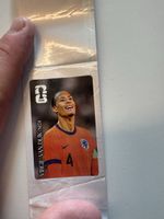 Panini Coca Cola