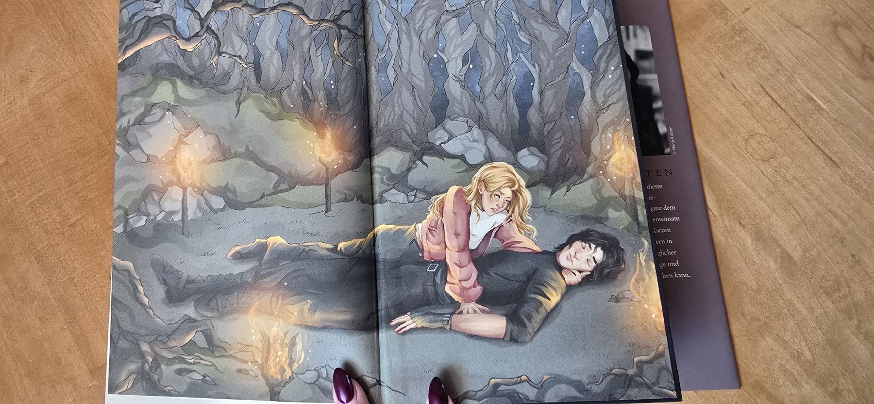 Livres: Fallen Princess – Neuf avec emballage d'origine à Schöftland par Demndy 4