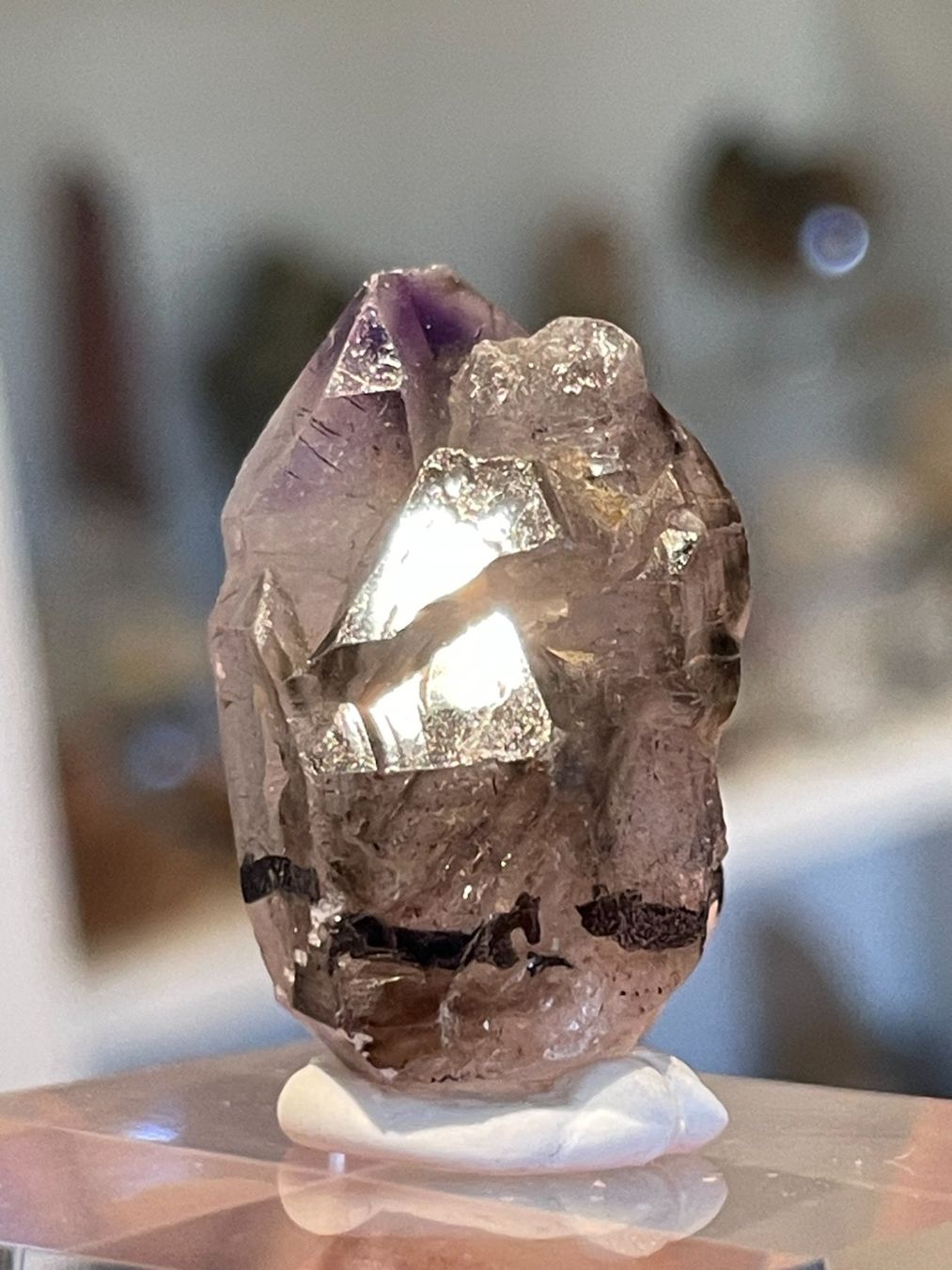 Minerali & Pietre curative: Wunderschöner Super-Seven-Skelett-Rohstein – Nuovo (secondo la descrizione) da Schiers venduto da sisikristall 1