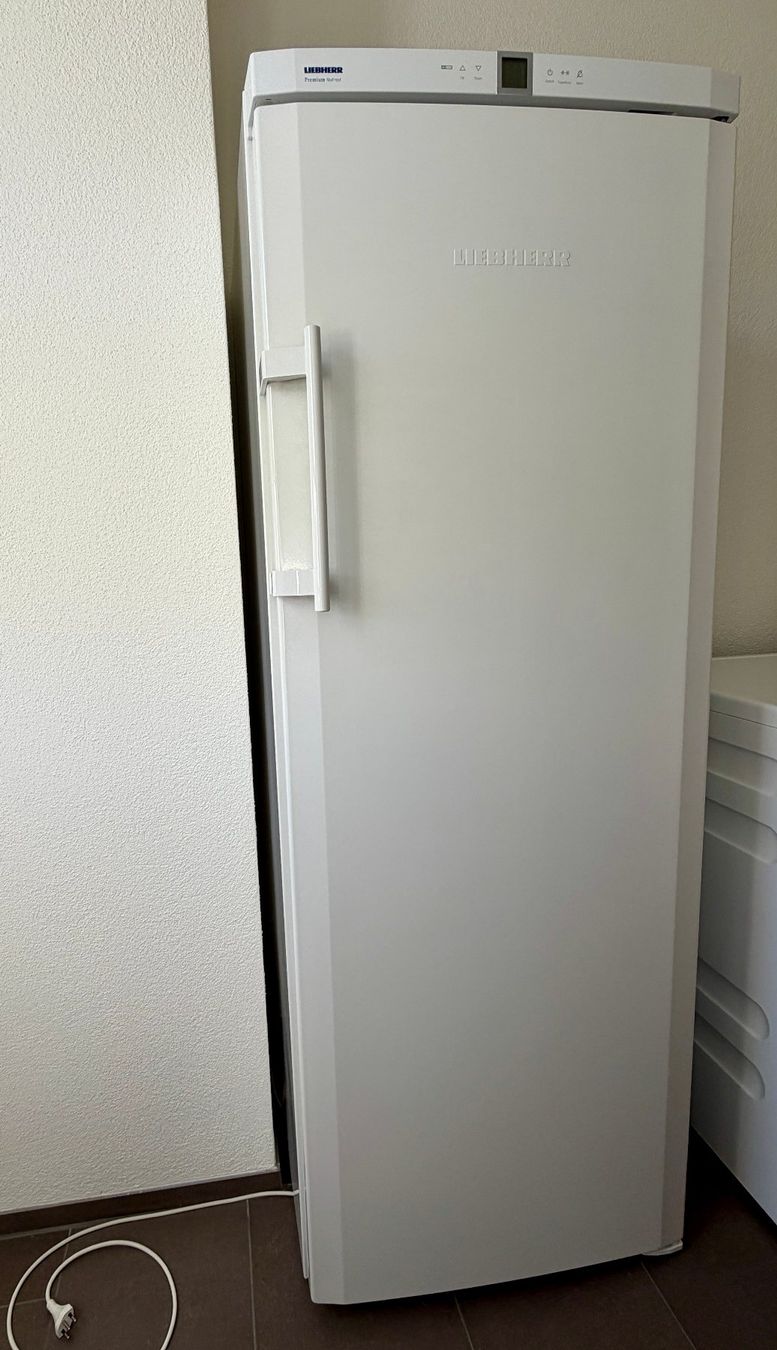 Liebherr Congelatori: Gefrierschrank Liebherr 224 L – Usato da Wald ZH venduto da Goldfuchs999 1