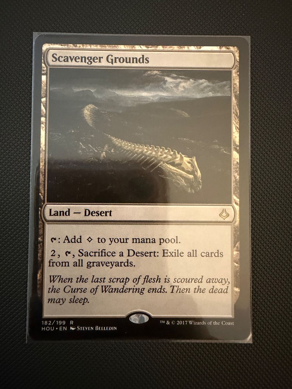 Magic The Gathering Carte collezionabili: Scavenger Grounds – Usato da Ulisbach venduto da joelsj