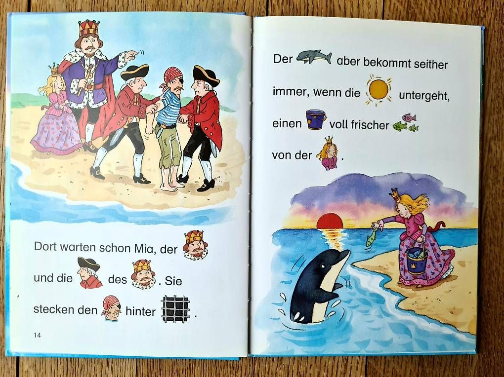Libri: Erstleser-Buch mit Delphingeschichten – Usato da Muri b. Bern venduto da SPF01 1