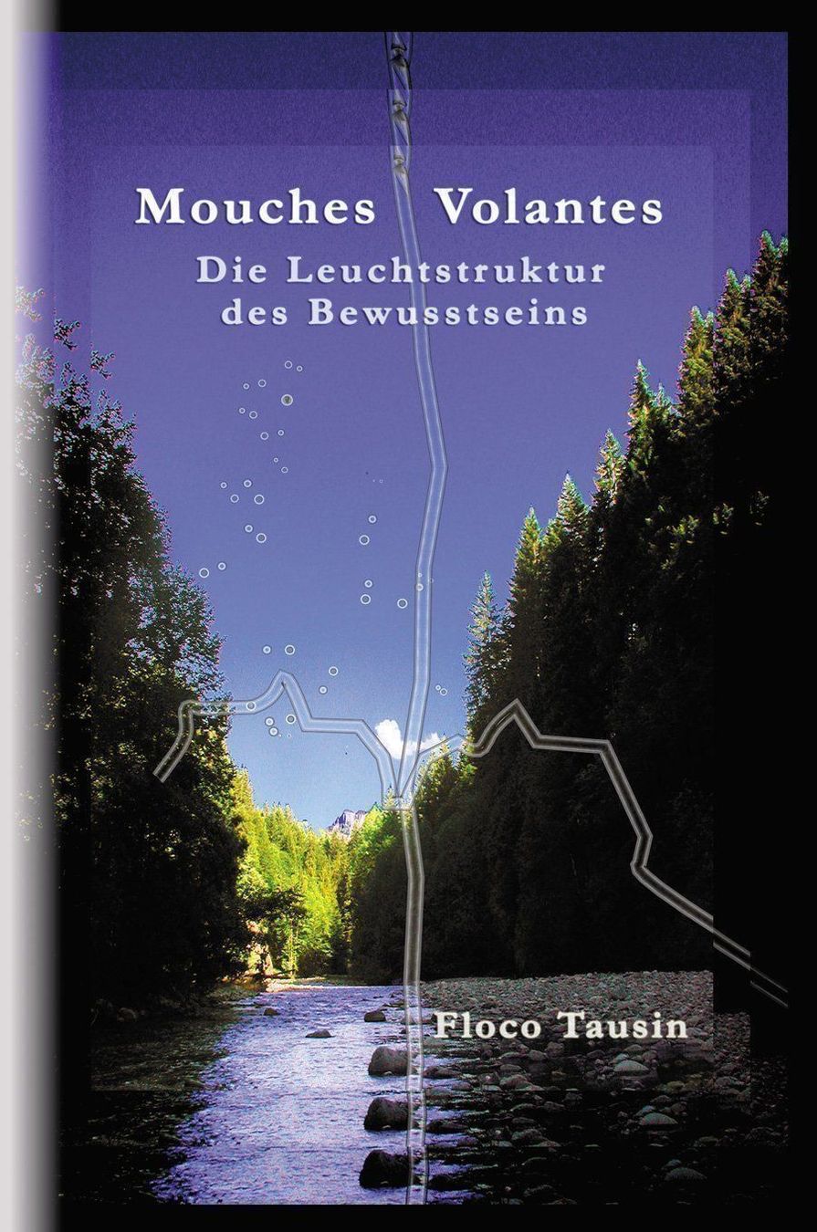 Libri: Mouches Volantes – Nuovo e nell'imballaggio originale da Ostermundigen venduto da Schultze