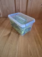 1.2 Kilo Legosteine - Grüne Teile, 1.3kg, mit Box.