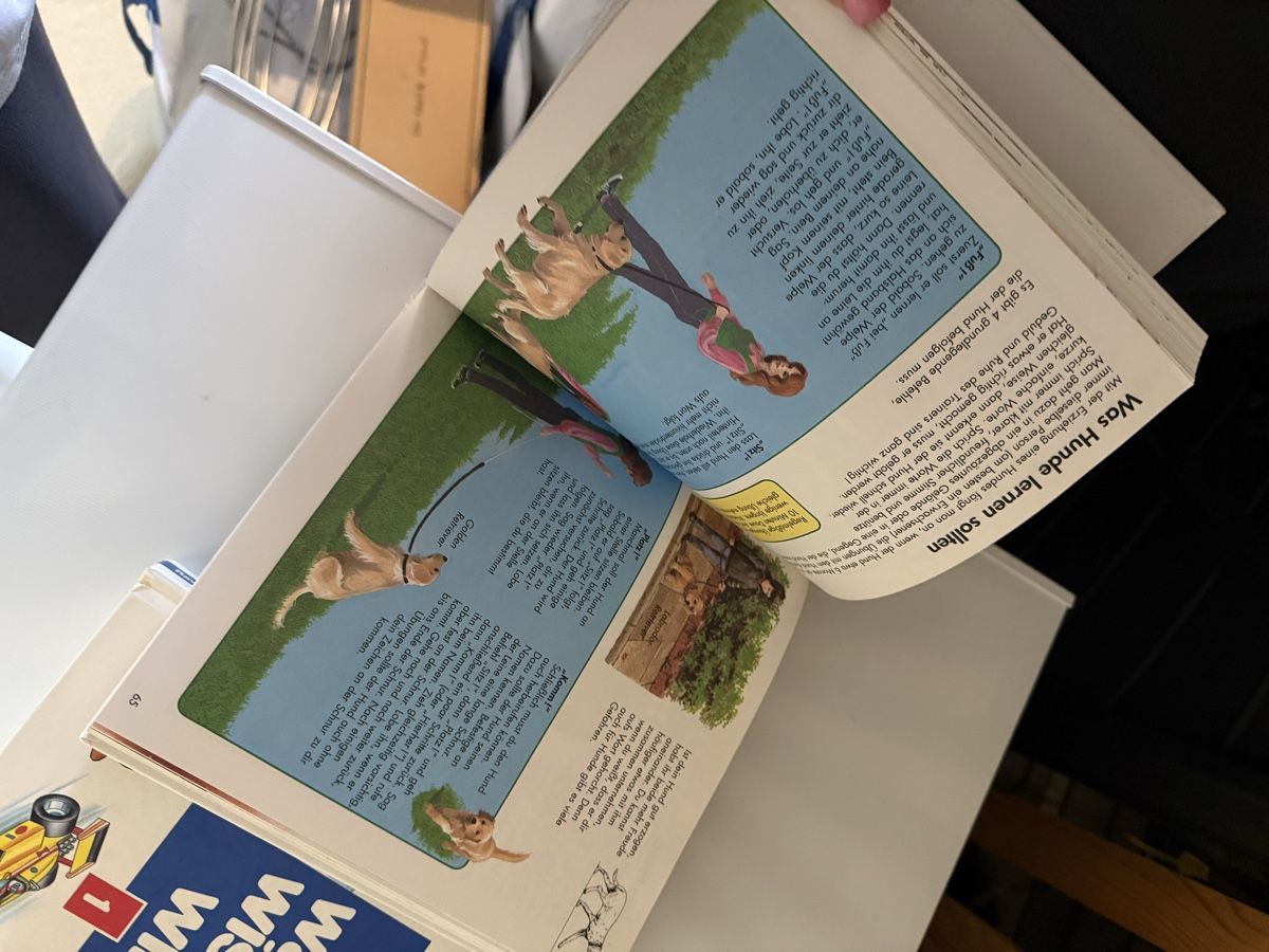 Libri: Ravensburger Kinderbücher 2x – Usato da Winterthur venduto da mag_z5tc 2