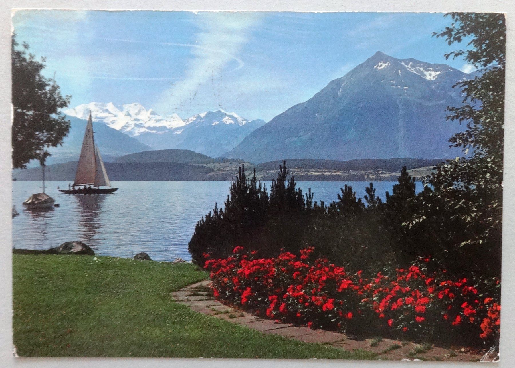 Ansichtskarten: Am Thunersee, Blümlisalp, Niesen – Gebraucht aus Fétigny von Billy2miny