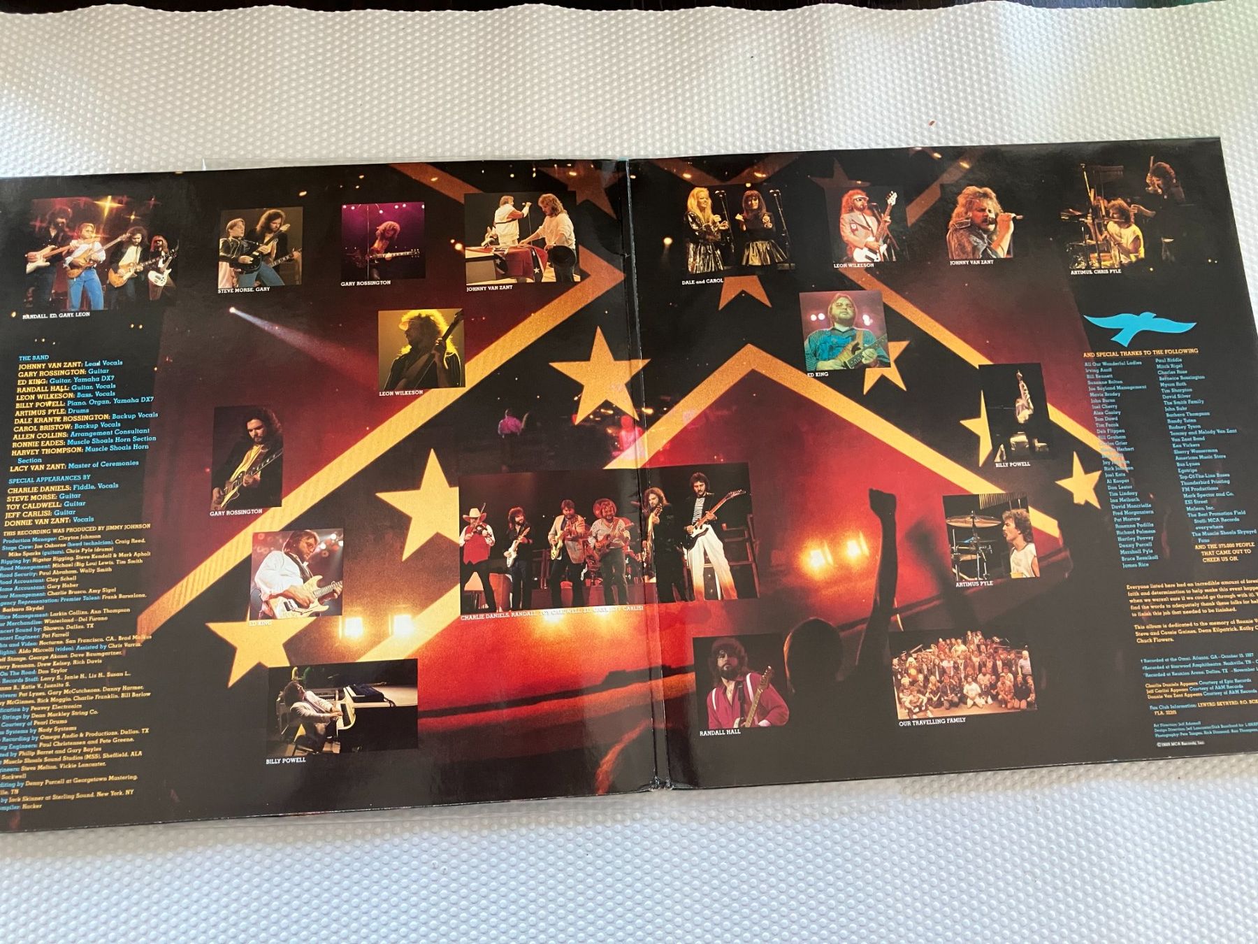 Dischi in vinile: Lynyrd Skynyrd – Usato da Aarwangen venduto da Jukebox3 4