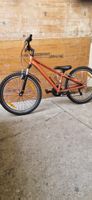 Kinder Velo CALIFORNIA HOPP 