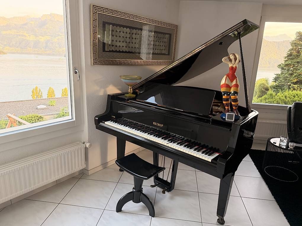Strumenti musicali: Petrof Flügel hochglanz – Usato da Weggis venduto da urs_rj7p 4