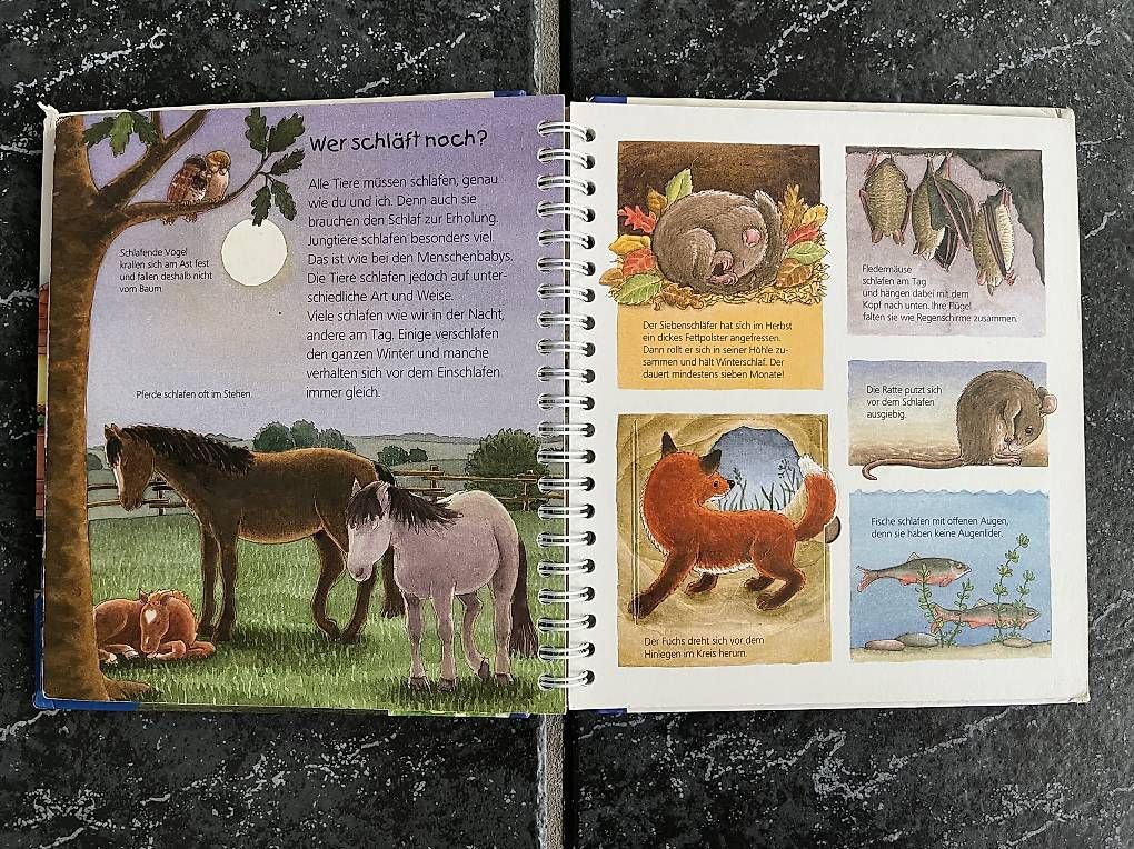 Libri: Junior Ravensburger - Wenn es dunkel wird – Usato da Kirchberg BE venduto da qualle01 3