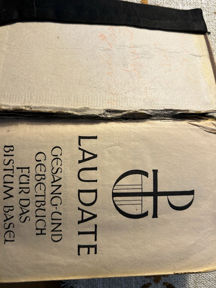 Libri: Gesangsbuch – Usato da Liestal venduto da schnugger69 2